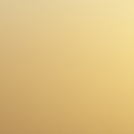 Lan-Ray Global Payment Services